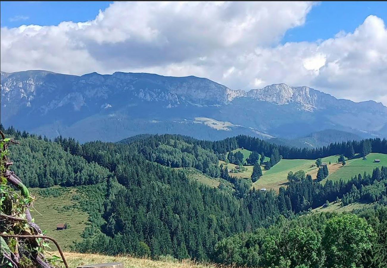Mountain near Ramnicu Valcea